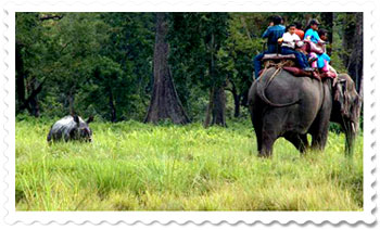 Elephant Safari at Gorumara National Park