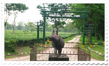 Gorumara National Park